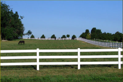 Vinyl Pasture Fence